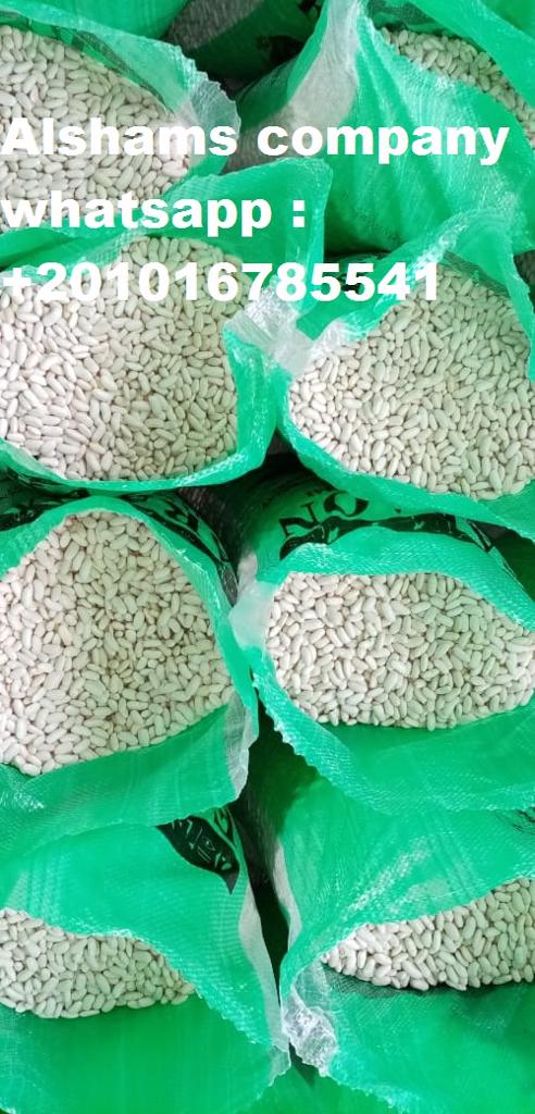 Product image - We would like to offer our product (white beans) :
Our company (Alshams company for general import and export agricultural crops from egypt)
packing : 25 kilo per bag 
For more information contact With us :
Cell/ Whatsapp :00201016785541
Email : alshams.info@yahoo.com
Web : www.alshamsexporting.com
Sales manager
Mrs / donia mostafa


